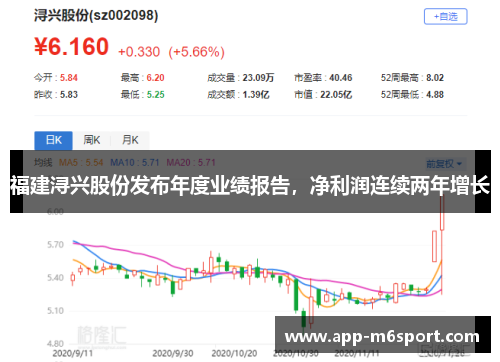 福建浔兴股份发布年度业绩报告，净利润连续两年增长